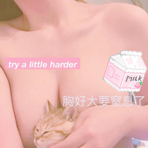 中文字幕一区在线观看
