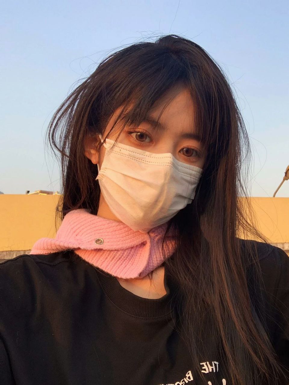 夜月直播大全免费下载