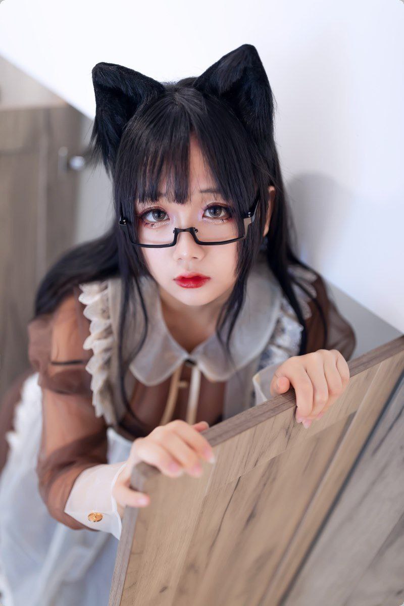 磁力猫